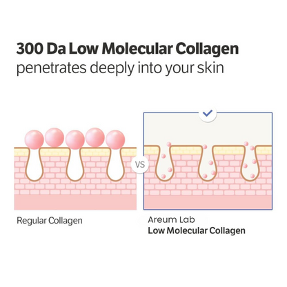 Deep Collagen & Volufiline Power Boosting Cream in Serum | Premium Korean Skincare